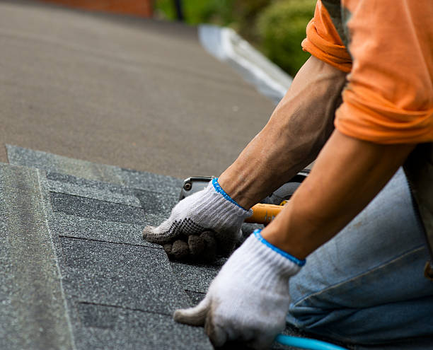 Best Roof Repair Services  in St Louis Park, MN